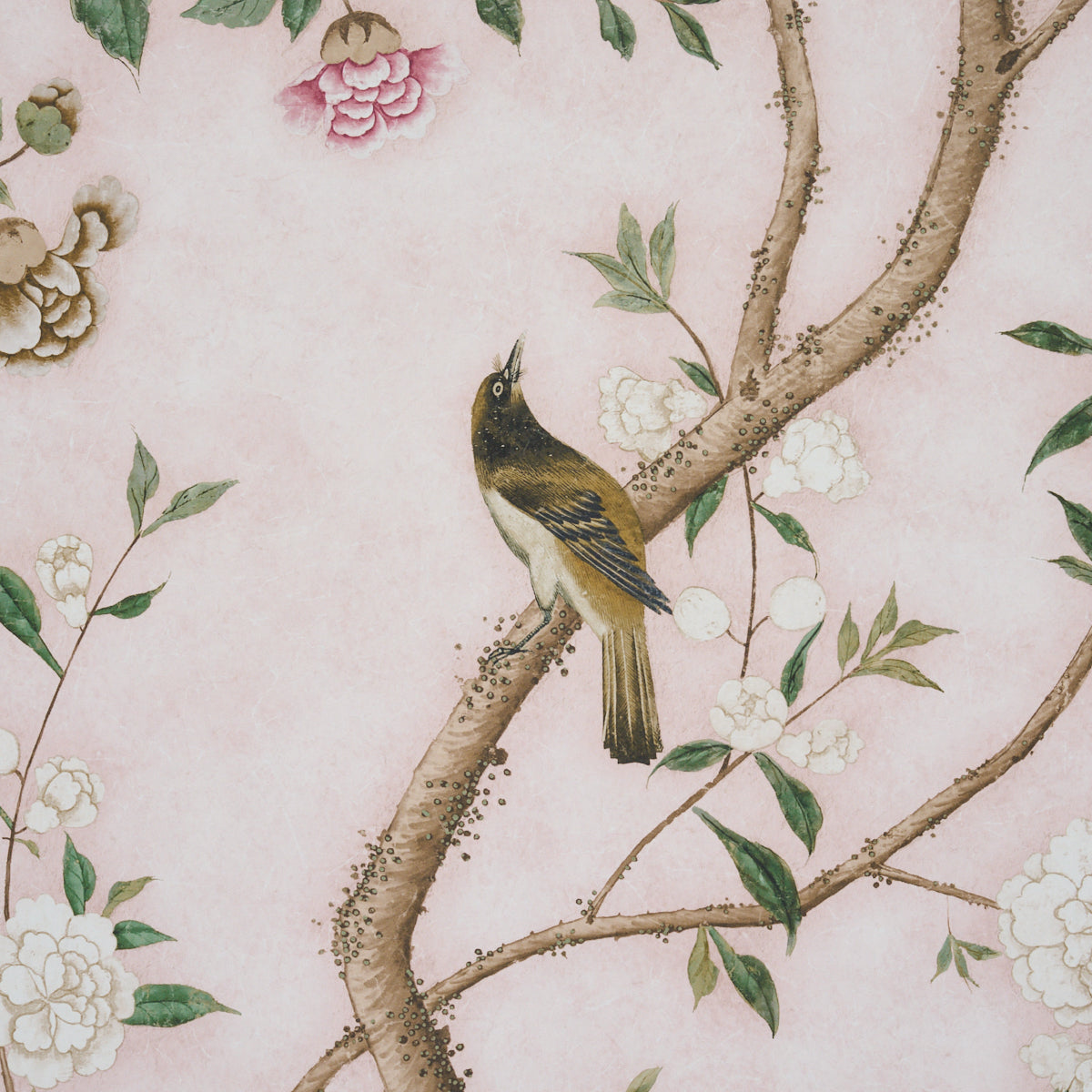 LES OISEAUX PANEL SET | Blush