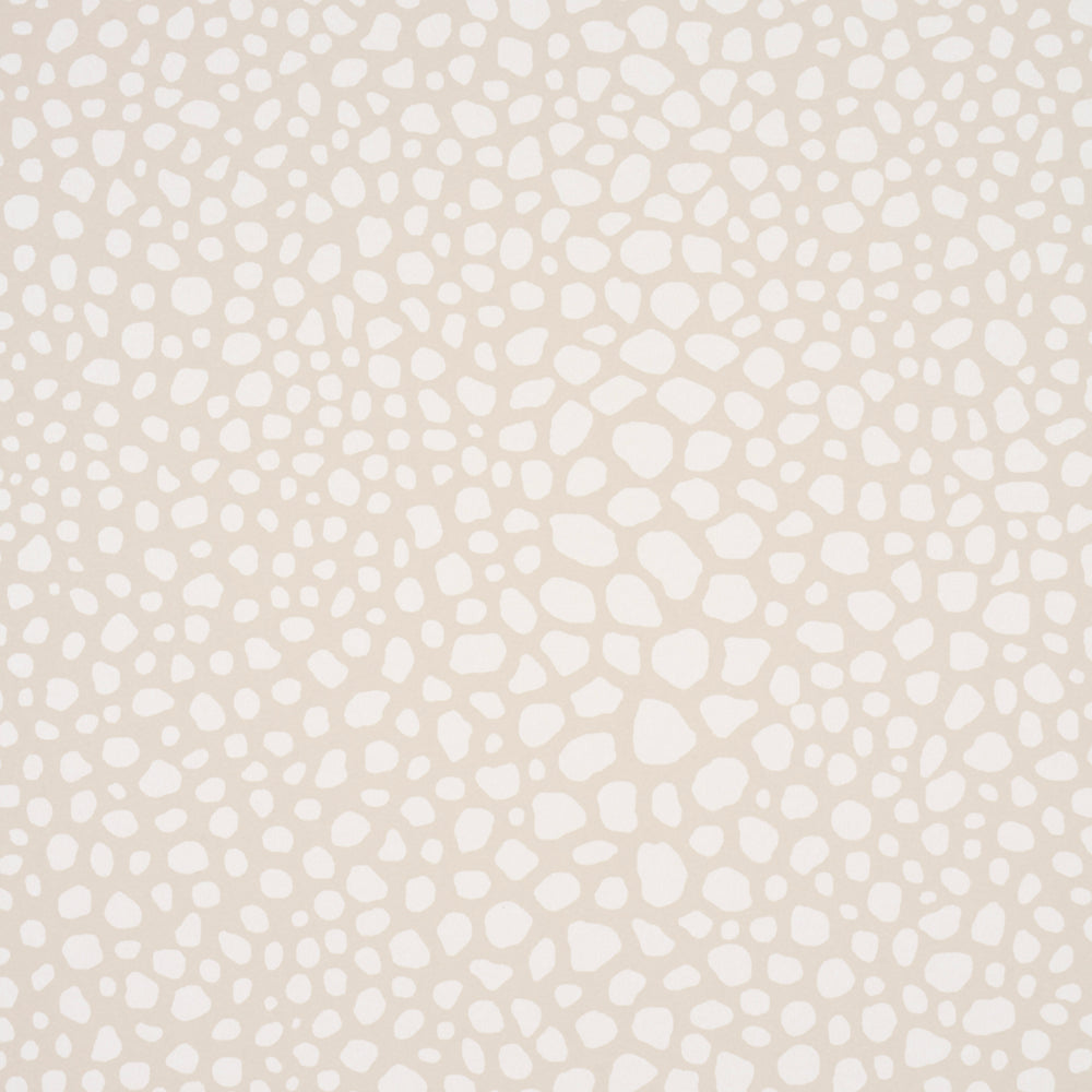 FICKLE TEXTURE | Ivory