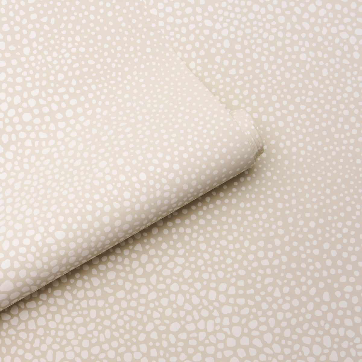 FICKLE TEXTURE | Ivory