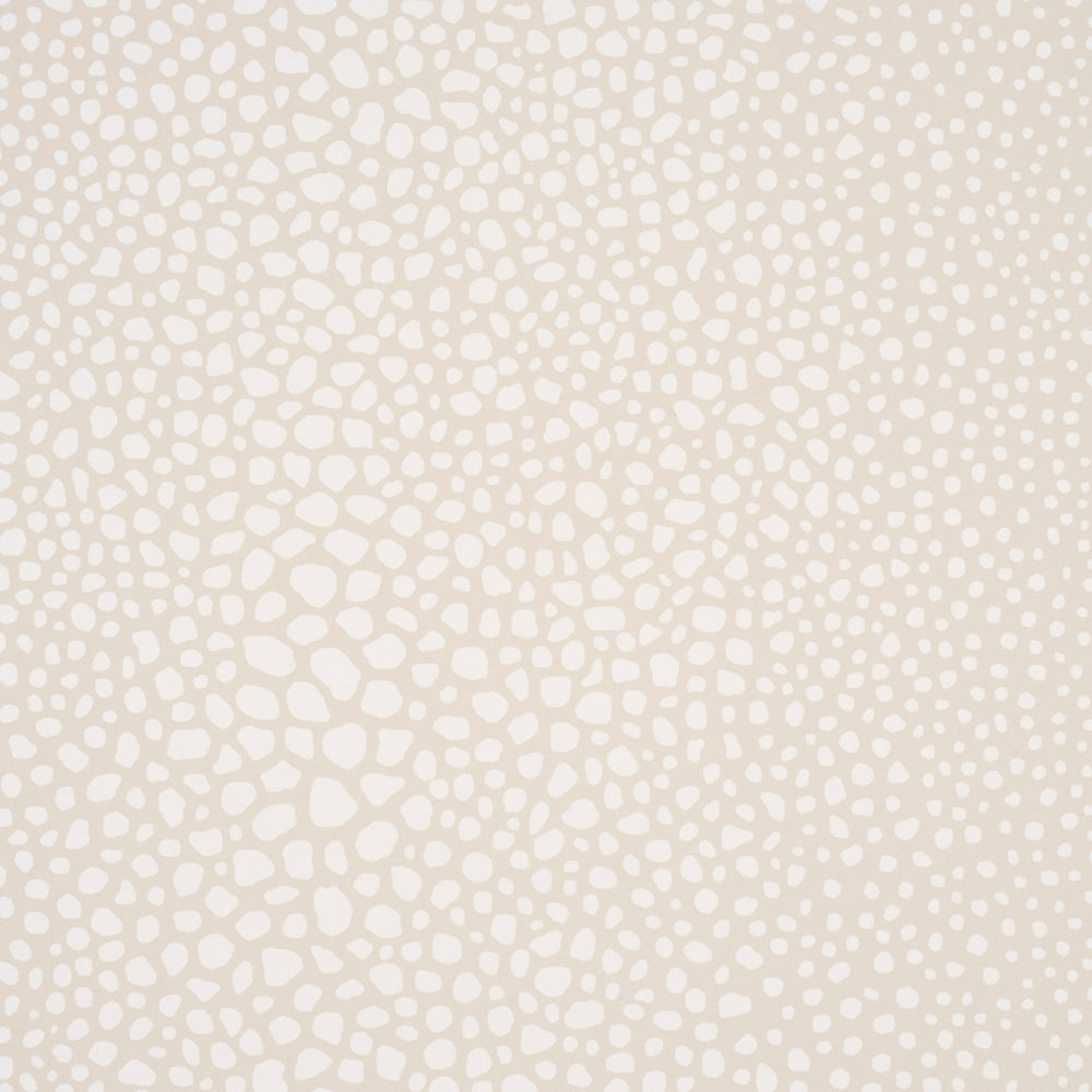 FICKLE TEXTURE | Ivory