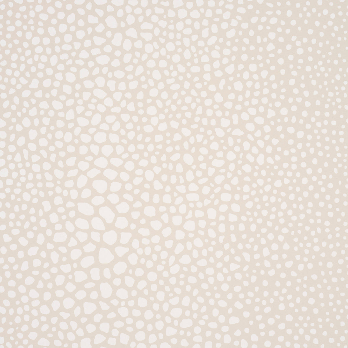 FICKLE TEXTURE | IVORY