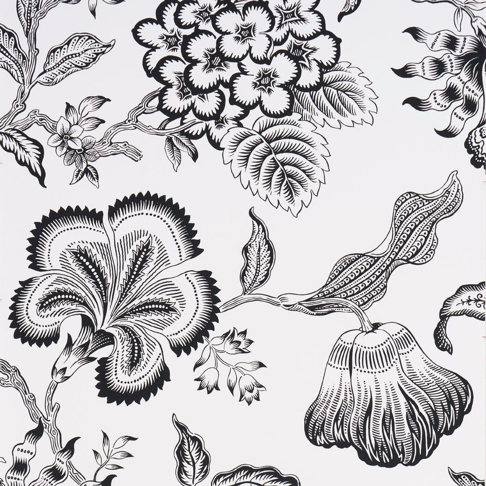 HOTHOUSE FLOWERS SILHOUETTE | Black And White