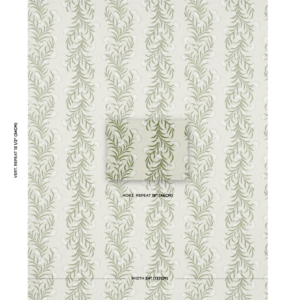 TASMANIAN MIMOSA | Ivory & Green