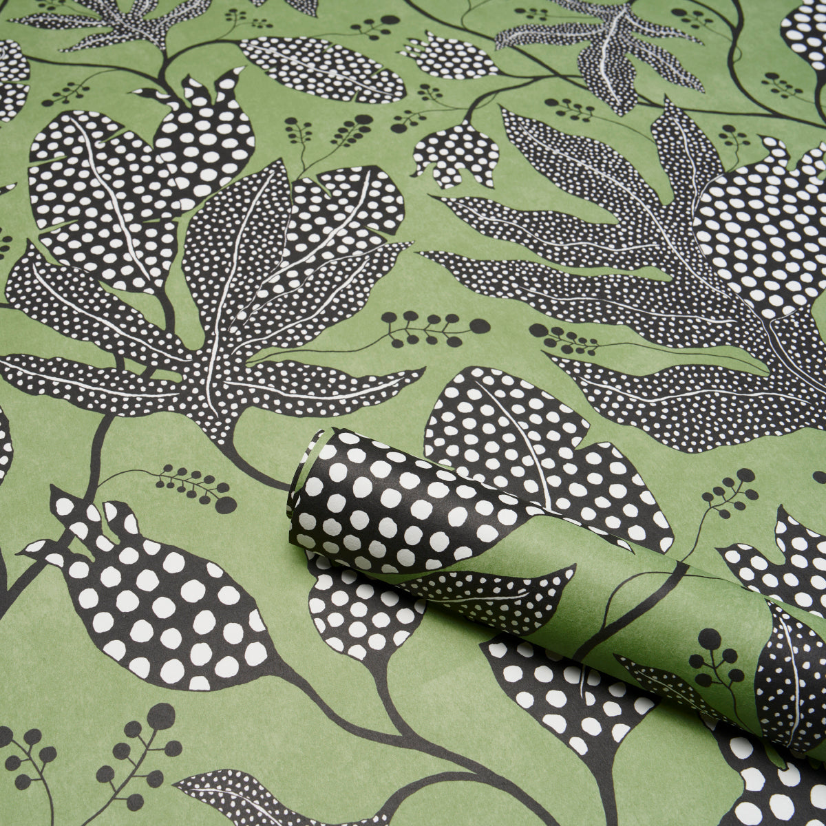 POLKA DOT JUNGLE | Black & Green