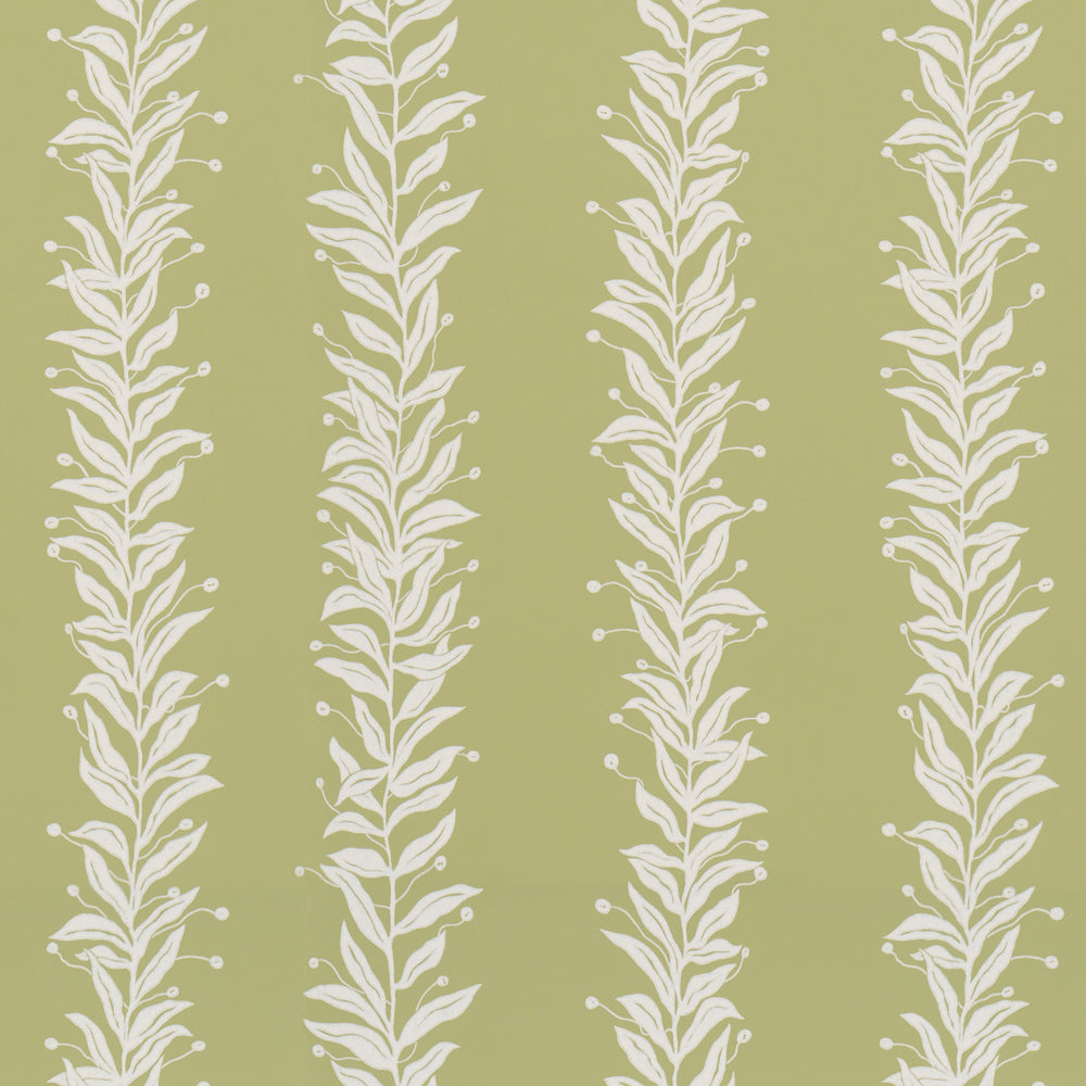 TENDRIL STRIPE | Olive