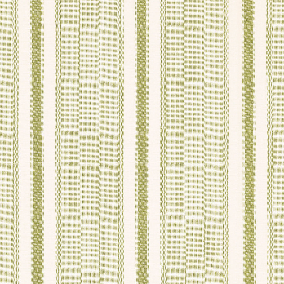 IPALA STRIPE VINYL | FERN