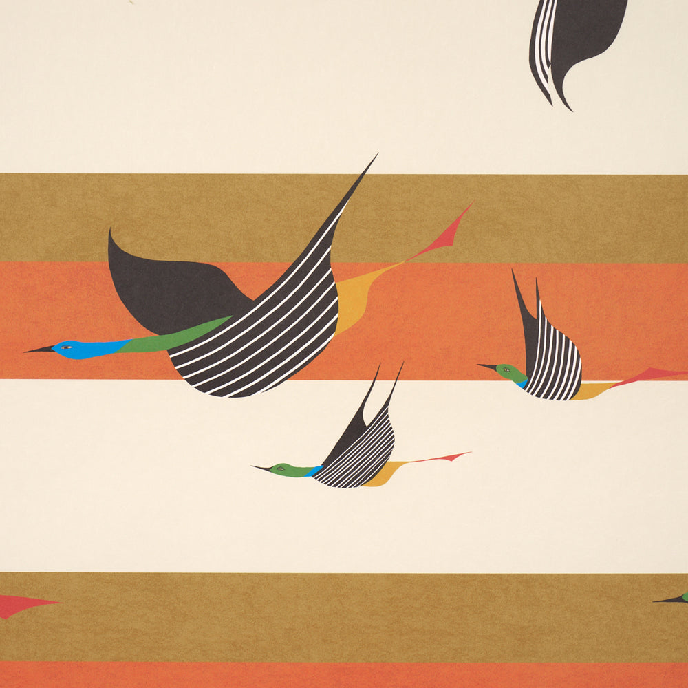 FLYING WEST | Orange