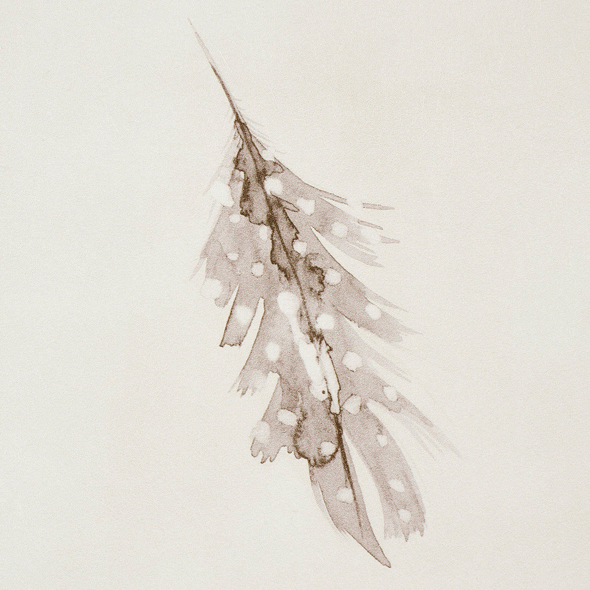 WOODLAND FEATHERS | PEBBLE