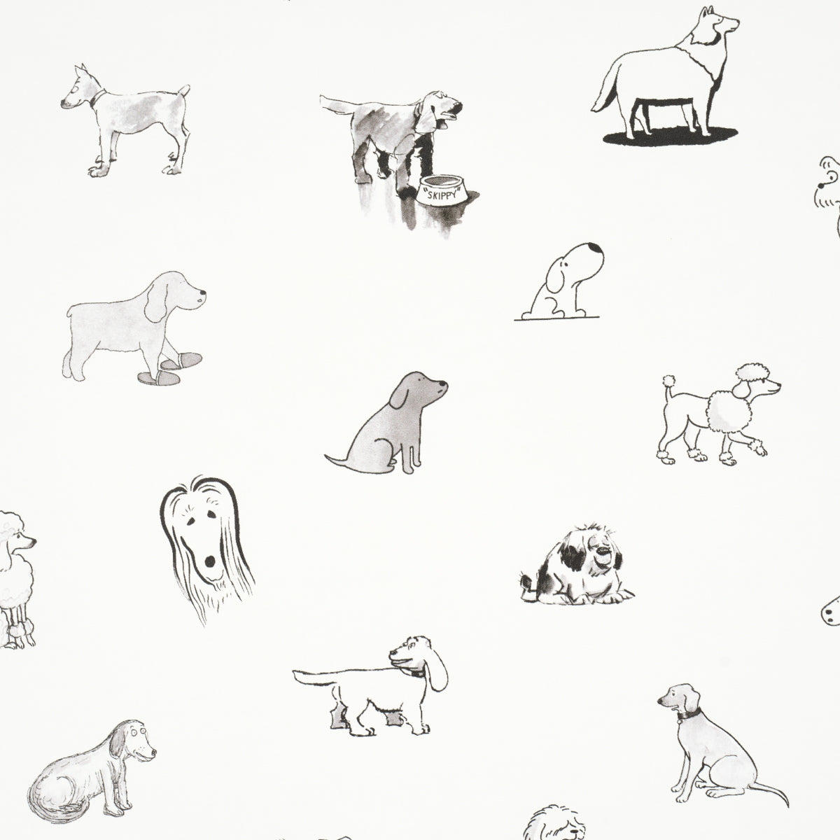 GOOD DOGS EVERYWHERE | Black & White