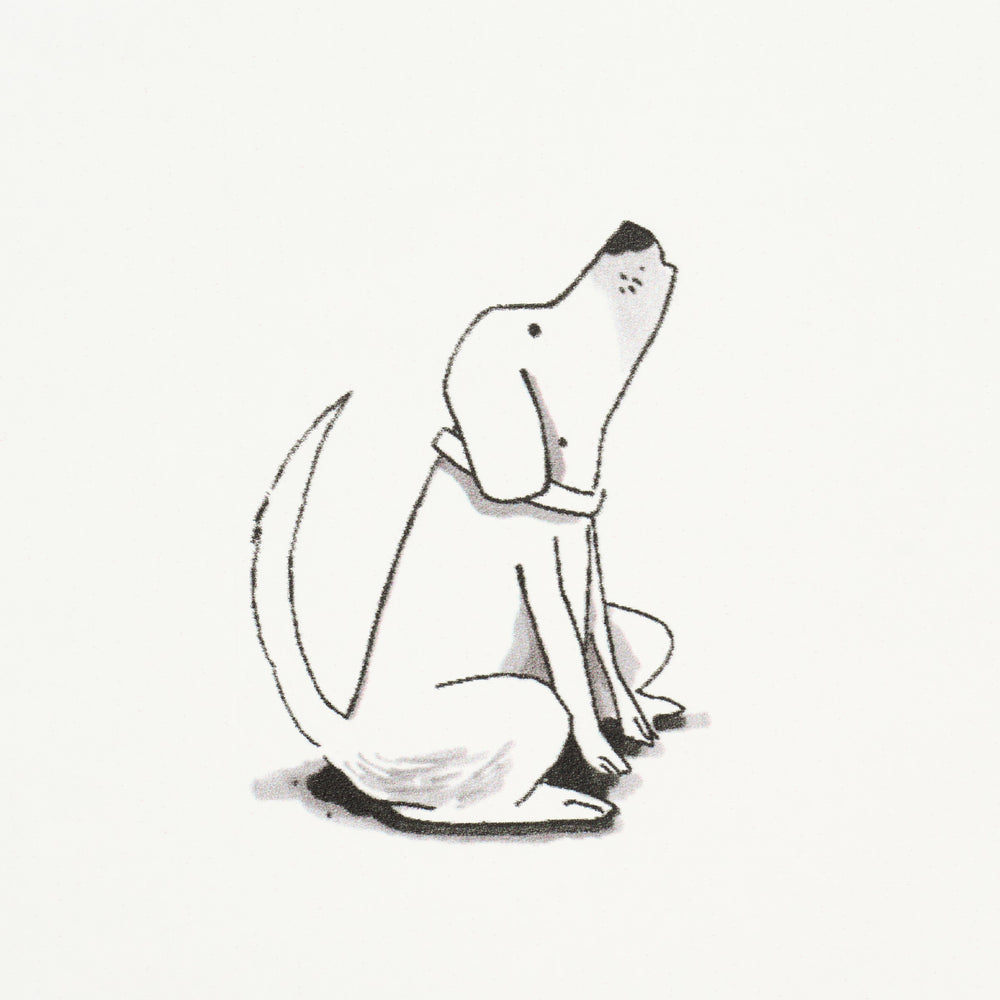 GOOD DOGS EVERYWHERE | Black & White