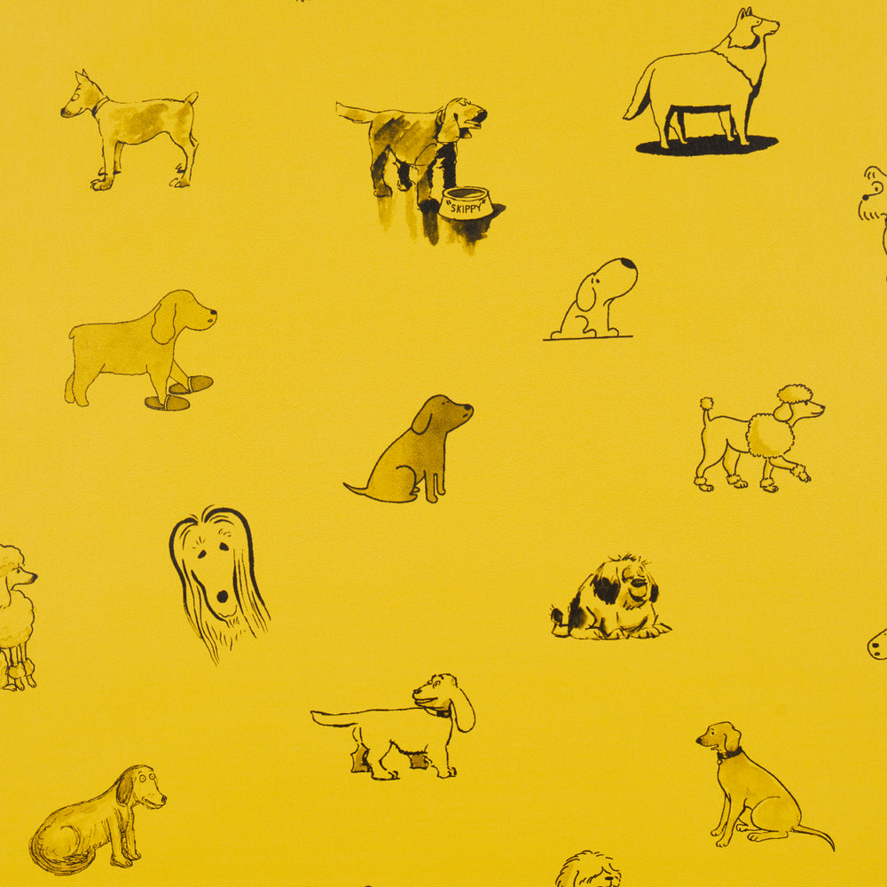 GOOD DOGS EVERYWHERE | Taxi-Cab Yellow