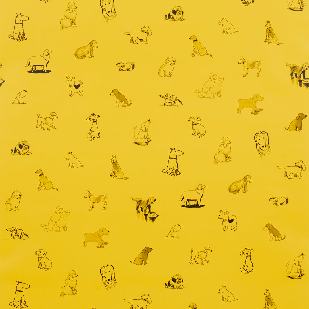 Good Dogs Everywhere | Taxi-Cab Yellow