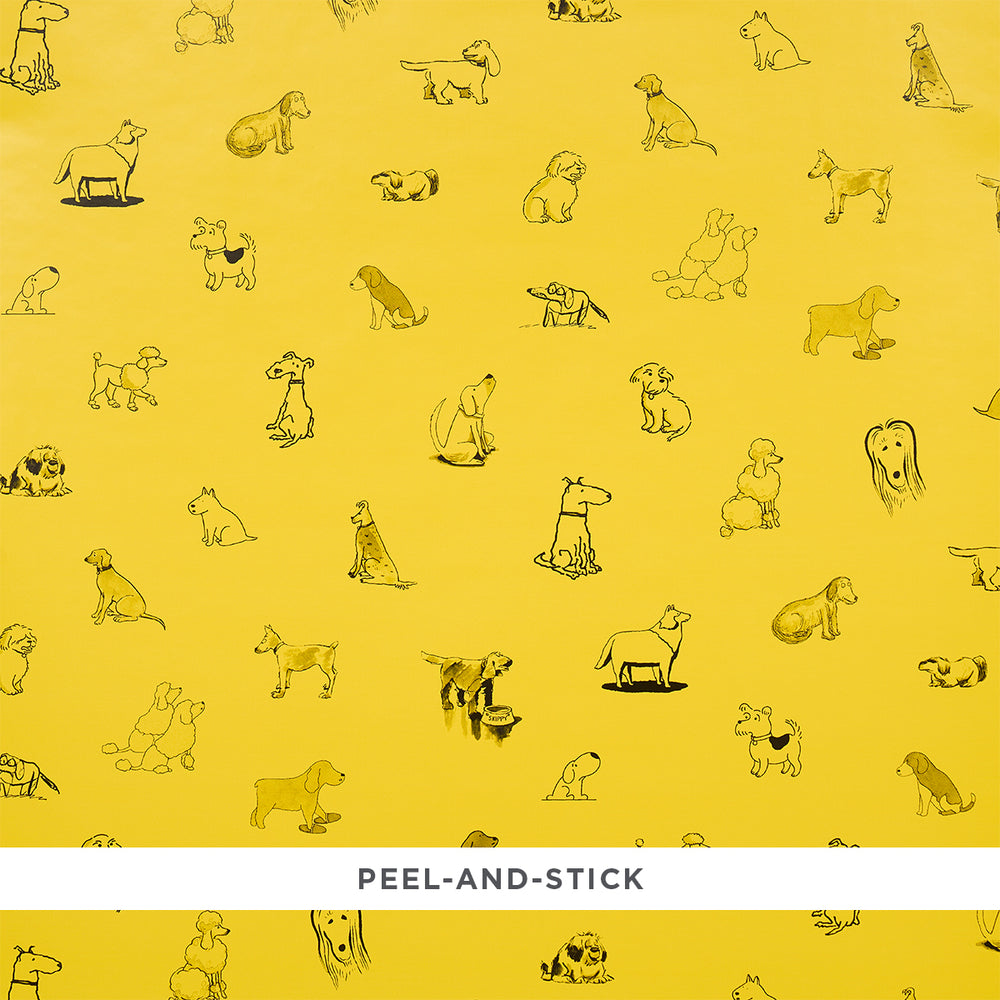 GOOD DOGS EVERYWHERE | Taxi-Cab Yellow