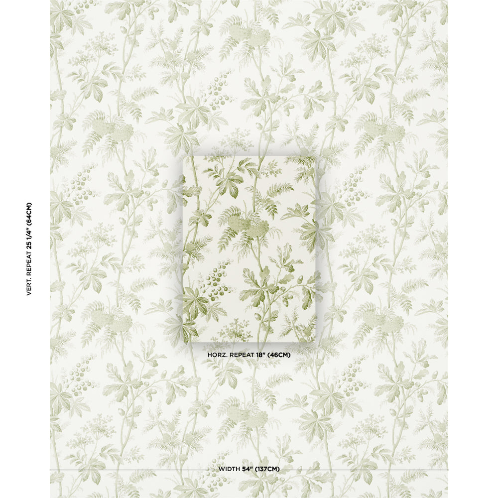 BRANTWOOD VINE | Leaf