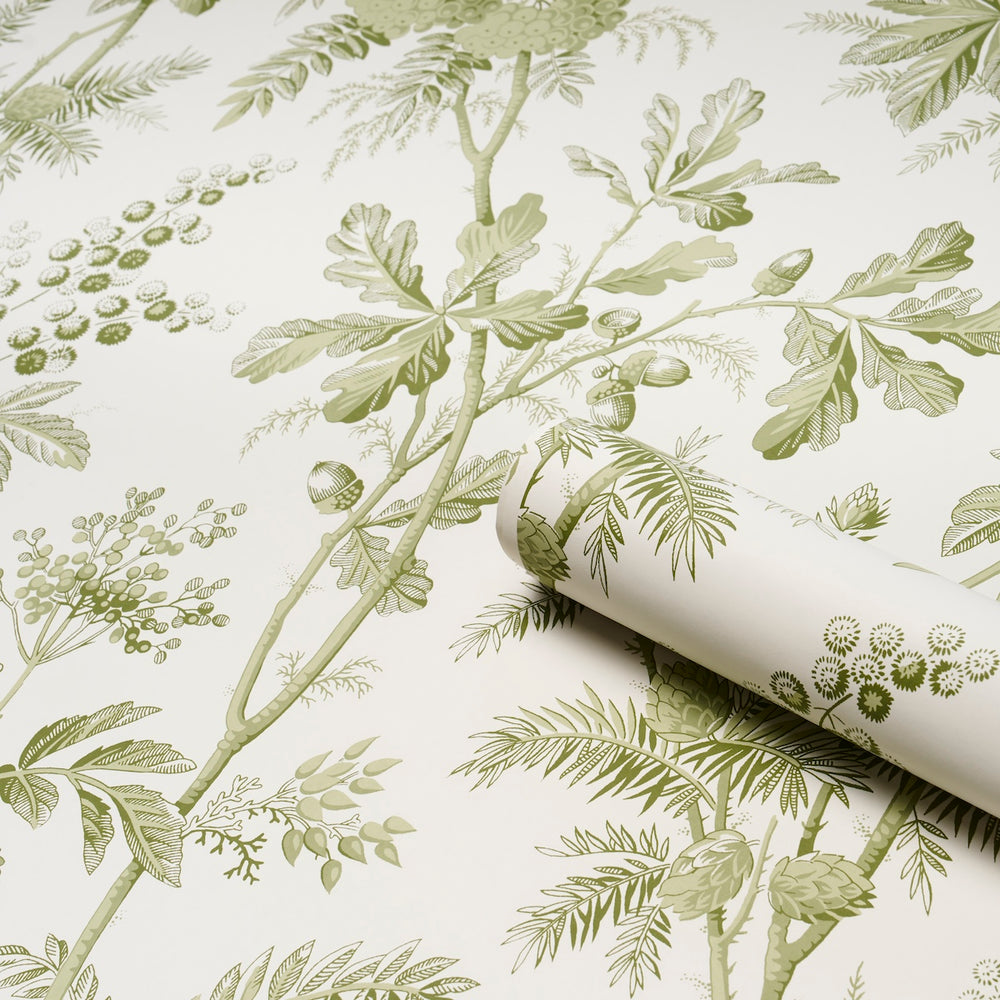 BRANTWOOD VINE | Leaf