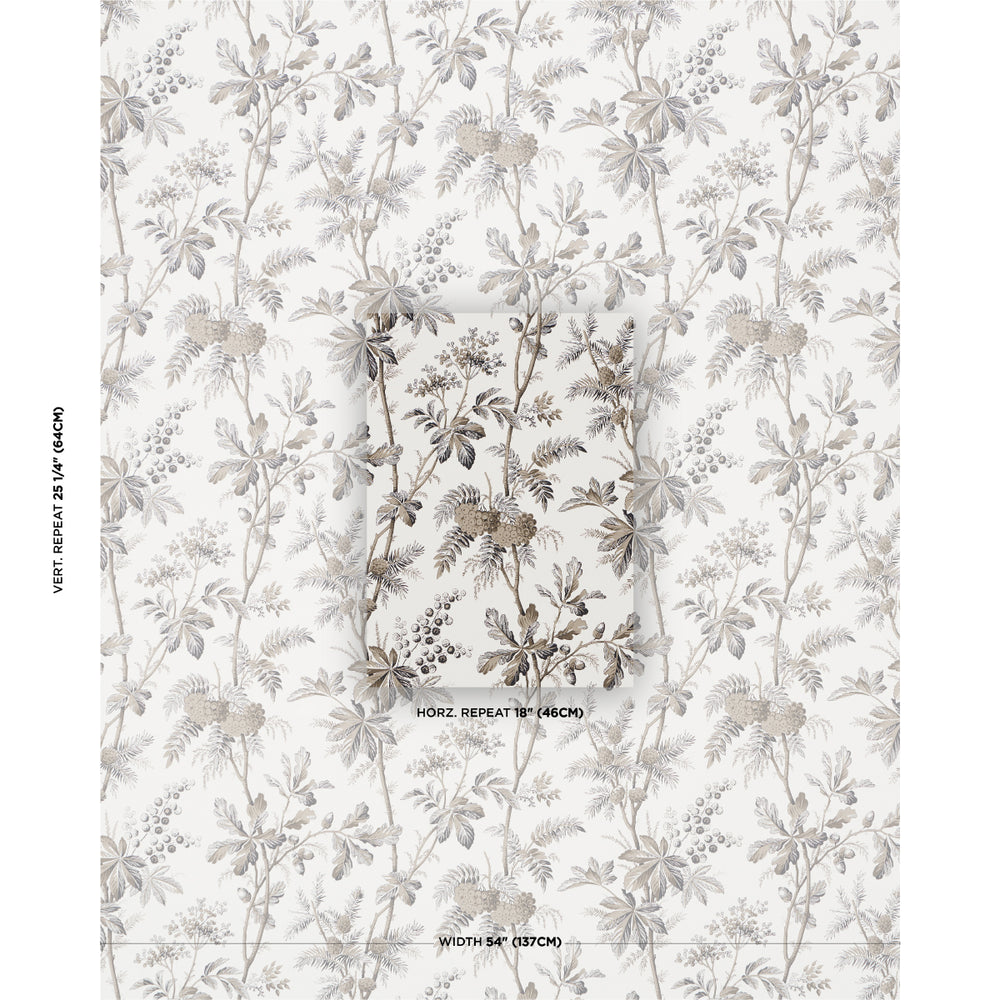 BRANTWOOD VINE | Graphite