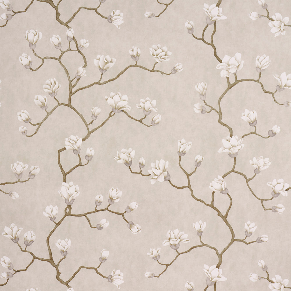 MAGNOLIA TREE | Grisaille