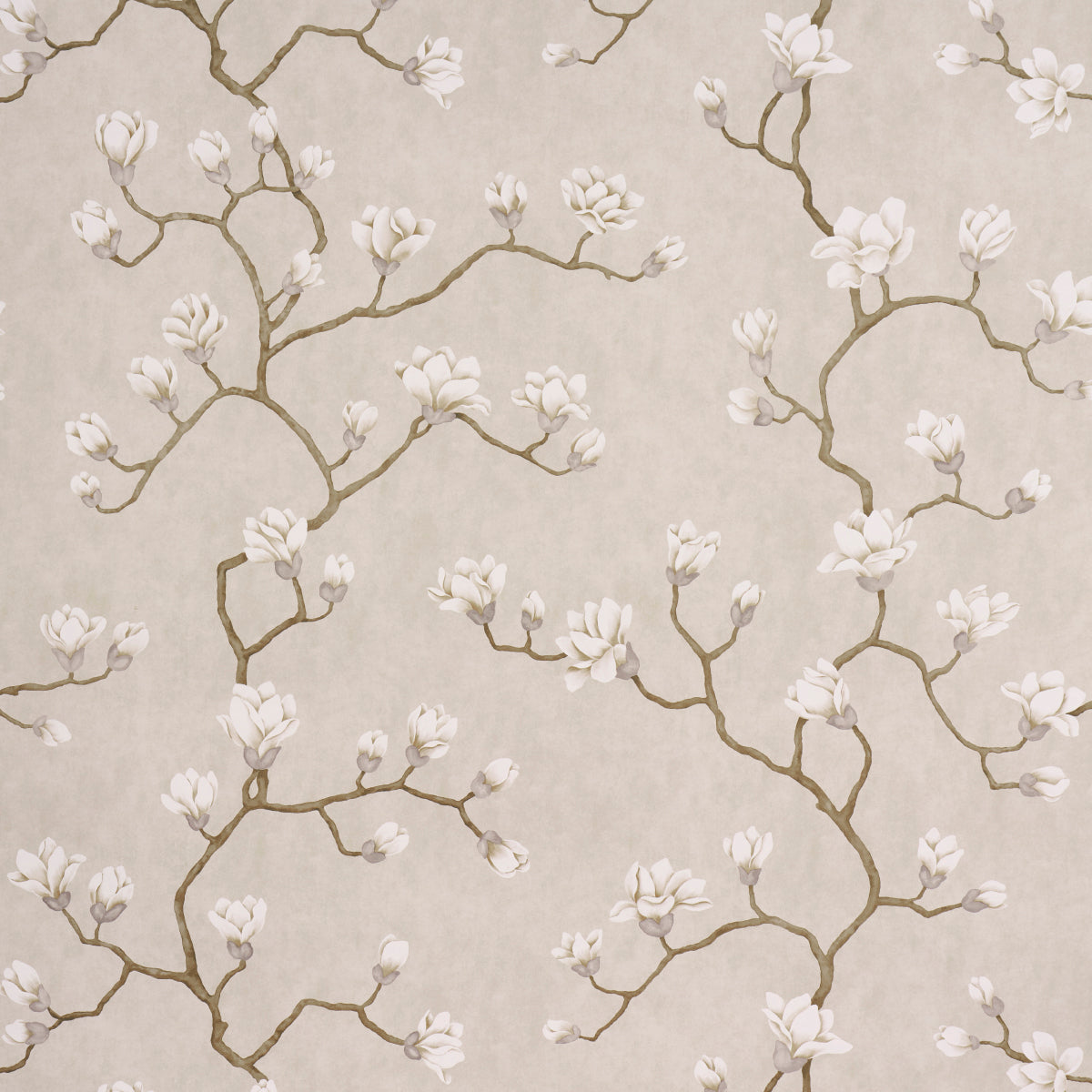 MAGNOLIA TREE | GRISAILLE