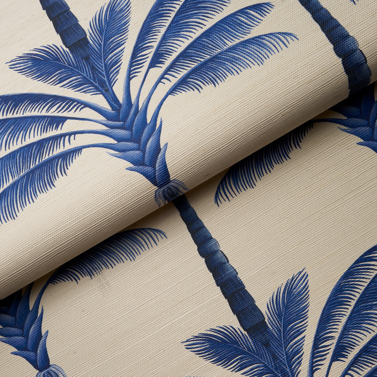 A PALM IS A PALM SISAL | INDIGO PALM GROVE