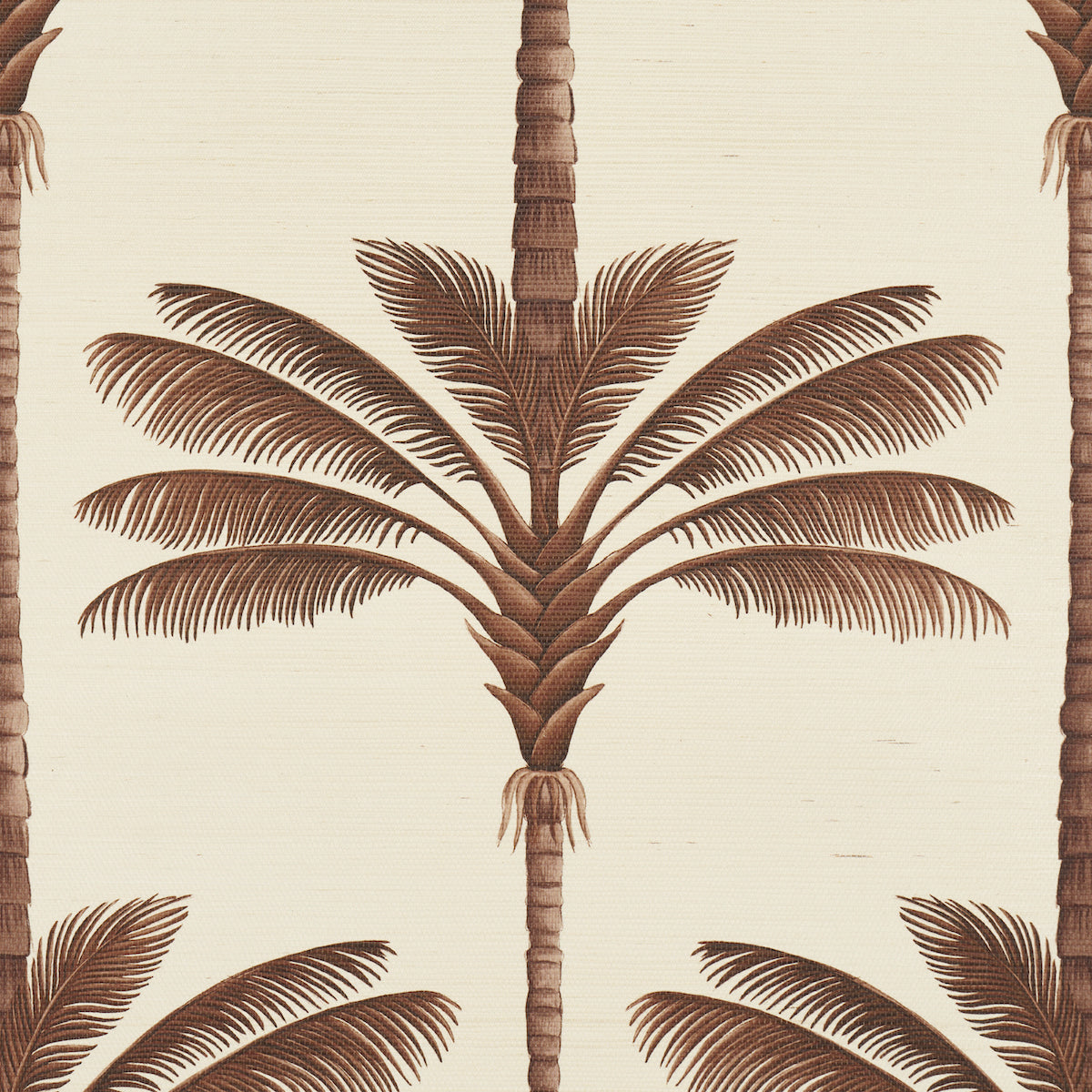 A PALM IS A PALM SISAL | CHOCOLATE MEETS TOBACCO