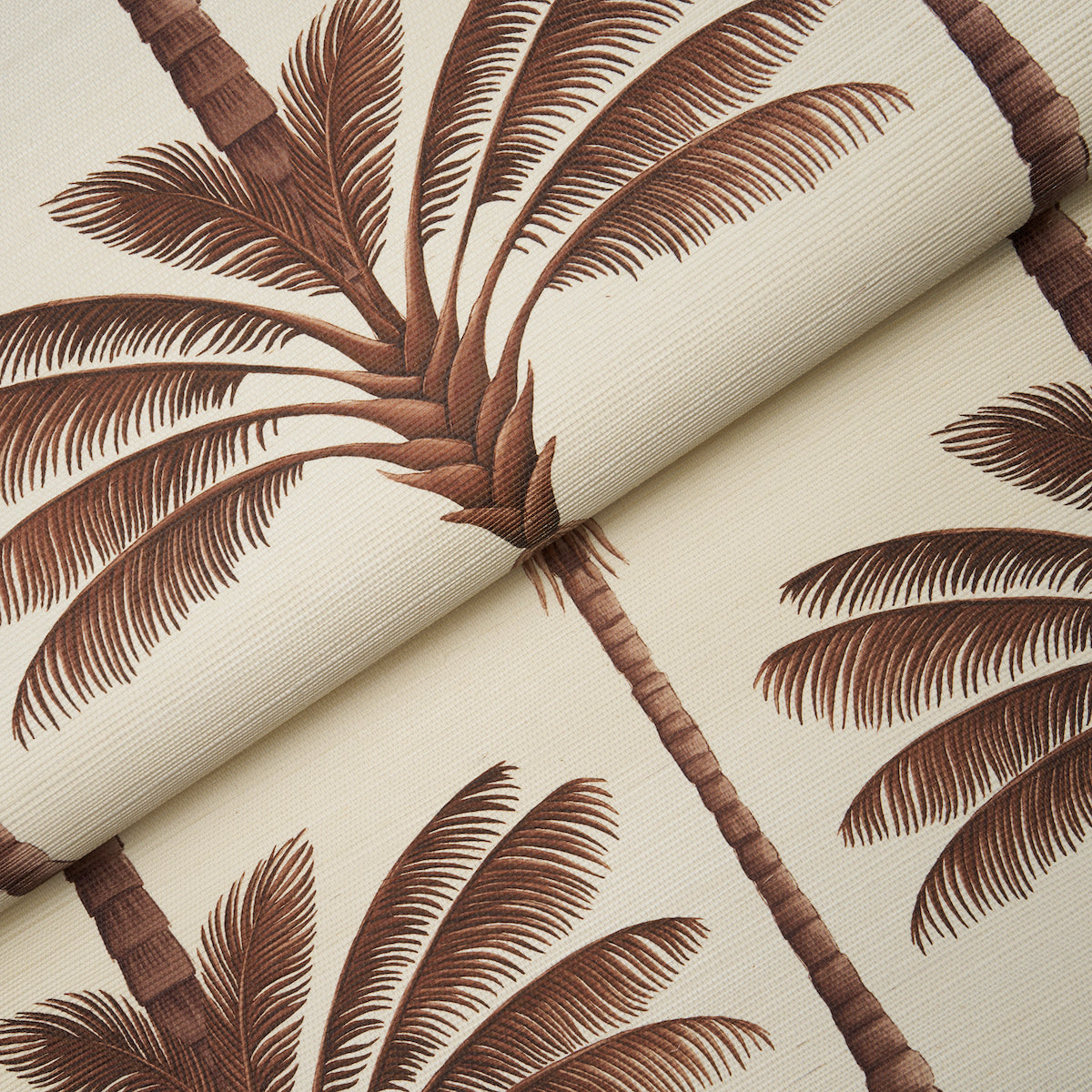 A PALM IS A PALM SISAL | CHOCOLATE MEETS TOBACCO