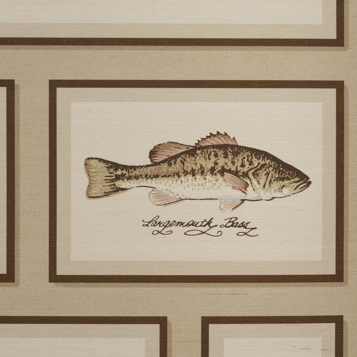 JAMIE'S TROPHIES SISAL | Natural