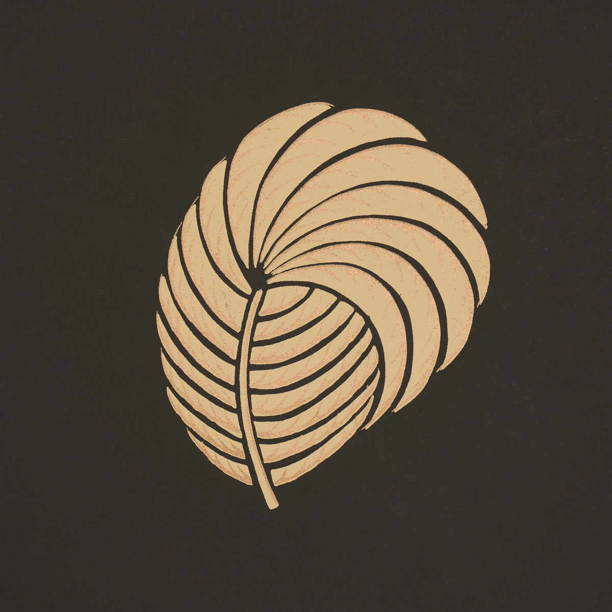 ROYAL PLUME | Carbon