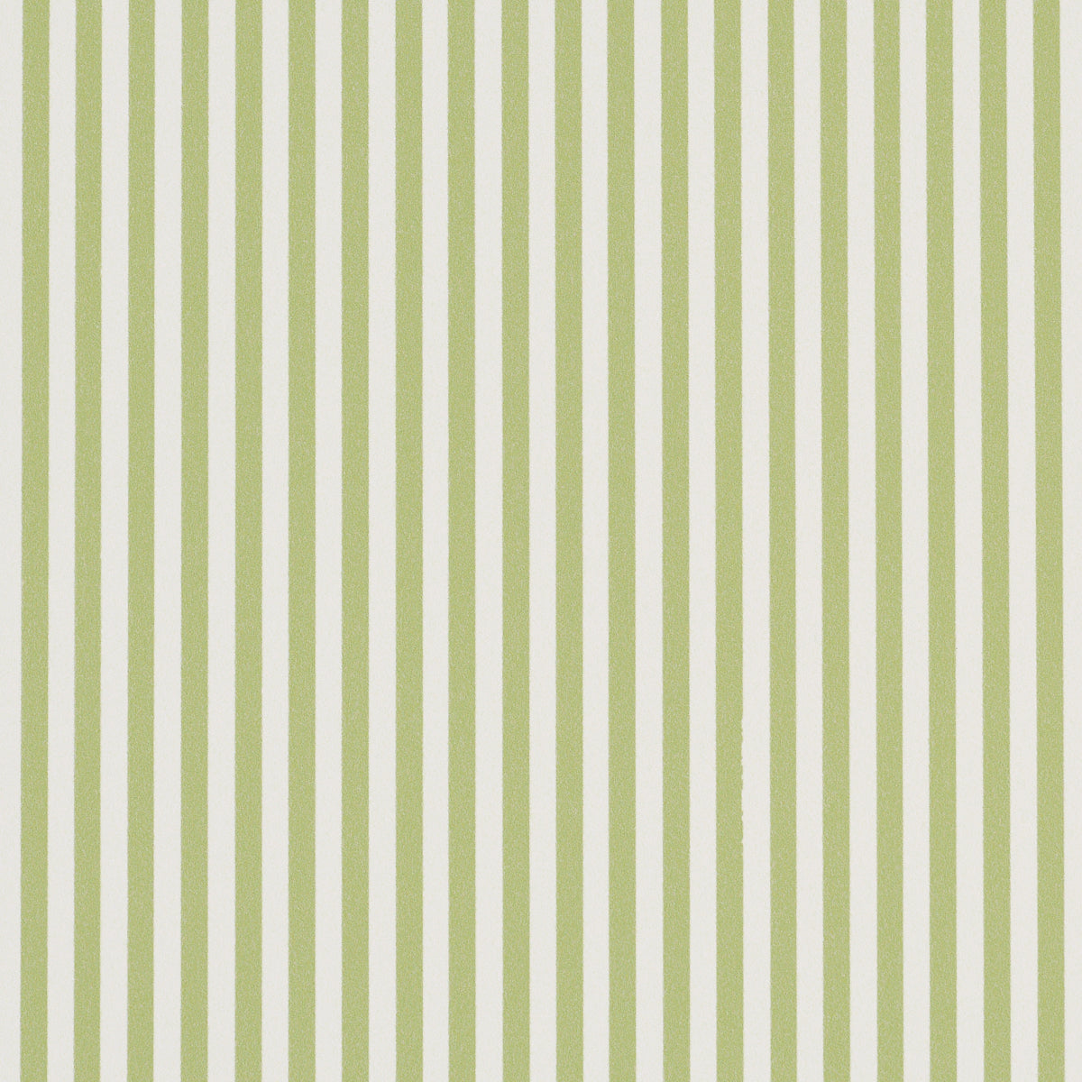 EMMA STRIPE NARROW | Leaf