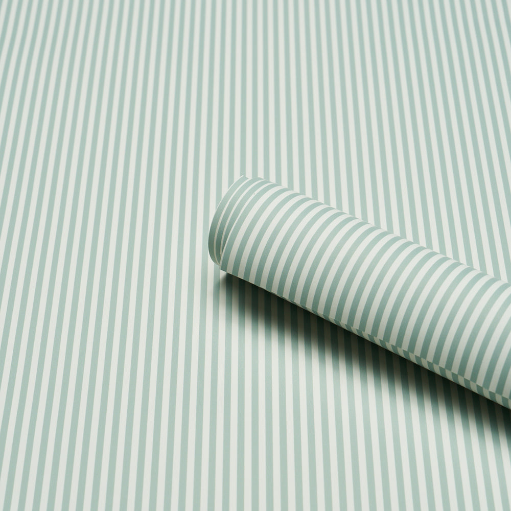 EMMA STRIPE NARROW | Teal