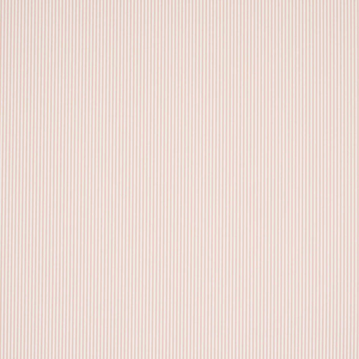 EMMA STRIPE NARROW | Blush