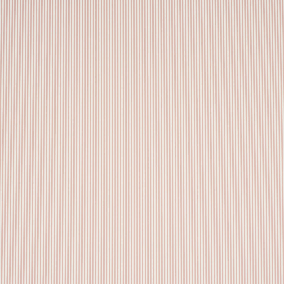 EMMA STRIPE NARROW | Rose