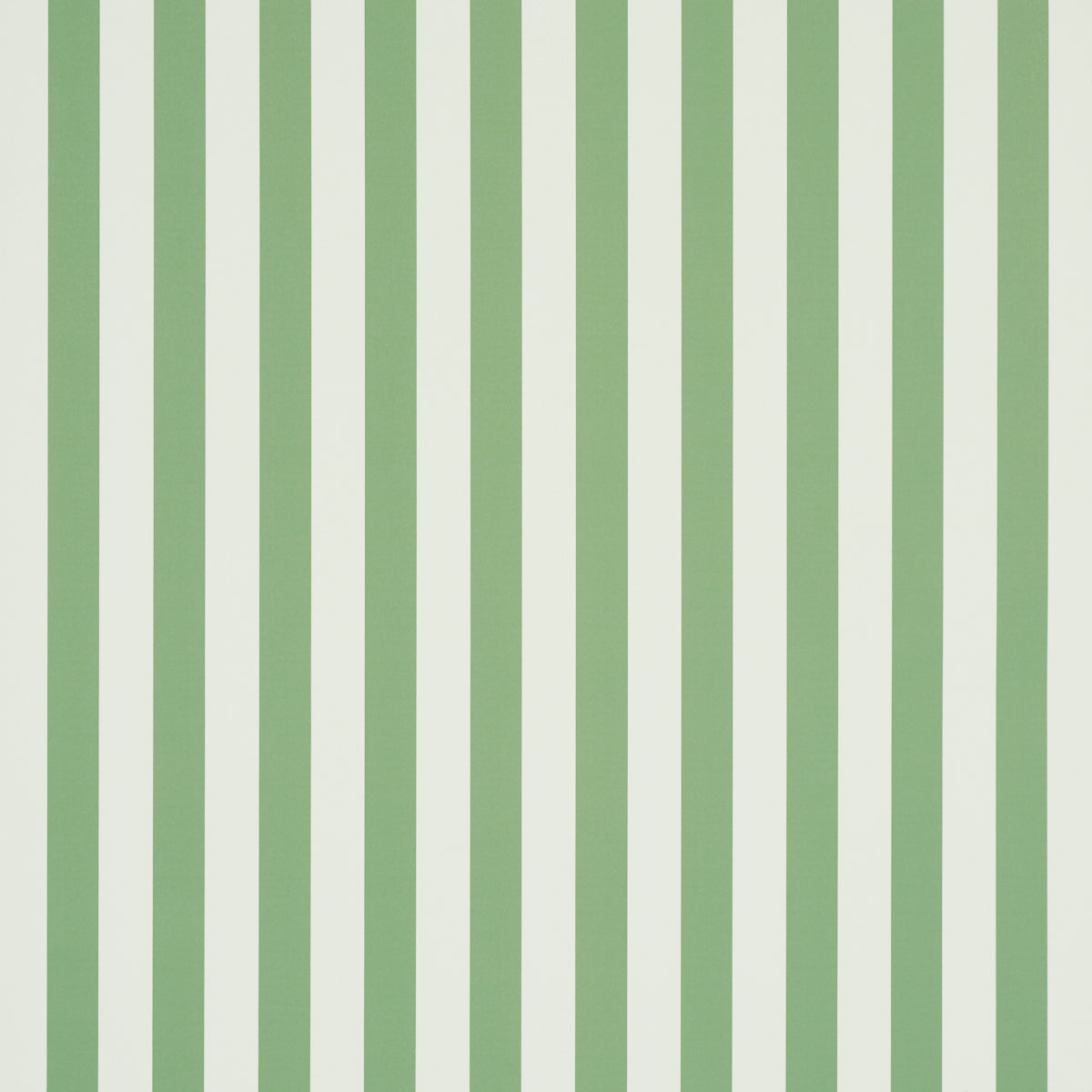 EMMA STRIPE | Apple Green