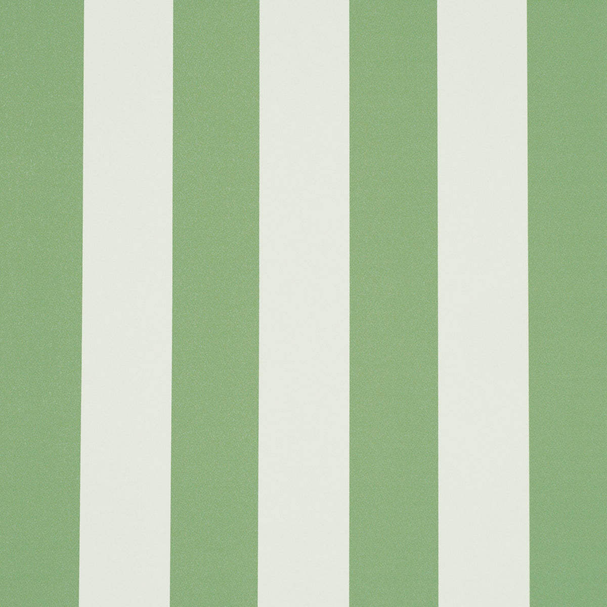 EMMA STRIPE | Apple Green