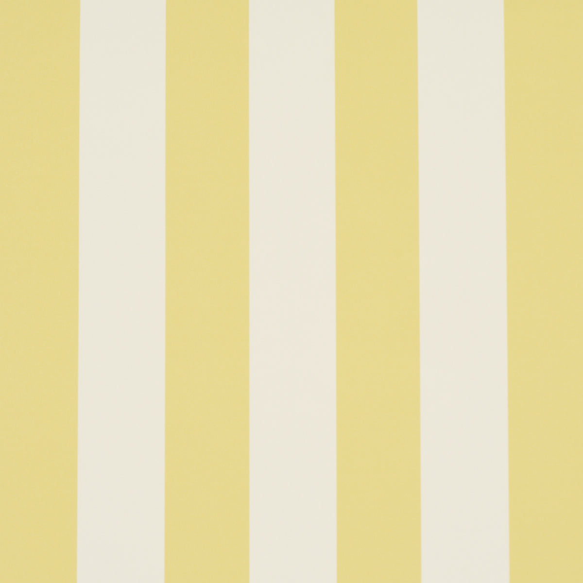 EMMA STRIPE | Yellow