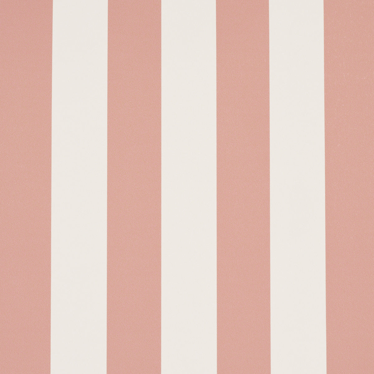 EMMA STRIPE | Coral