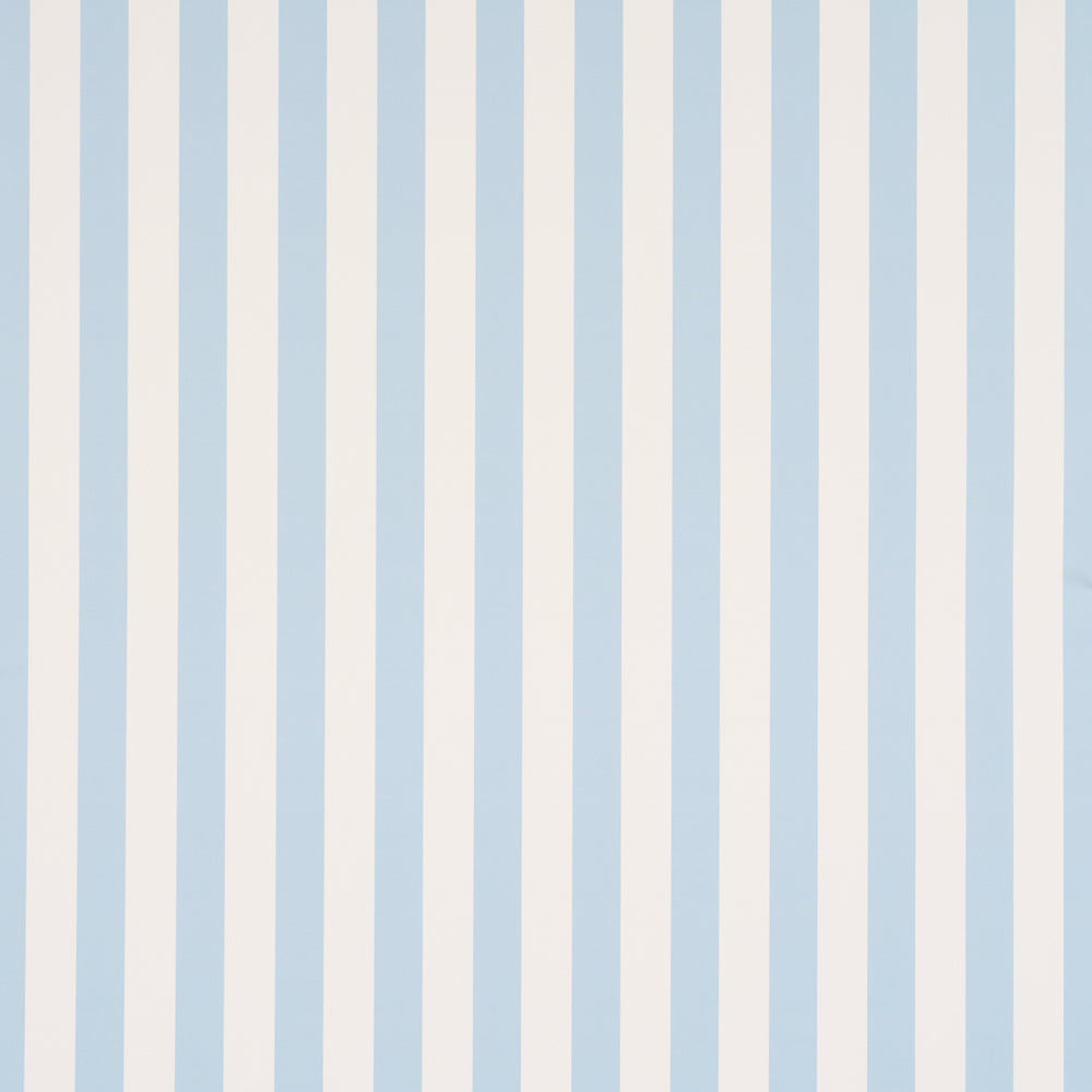 Emma Stripe | Ice