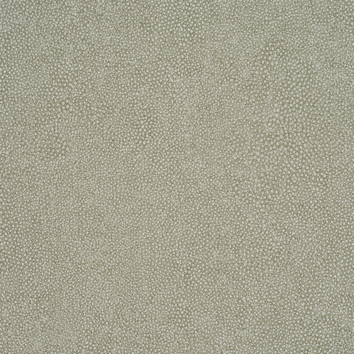 DUNBAR SHAGREEN VINYL | Olive