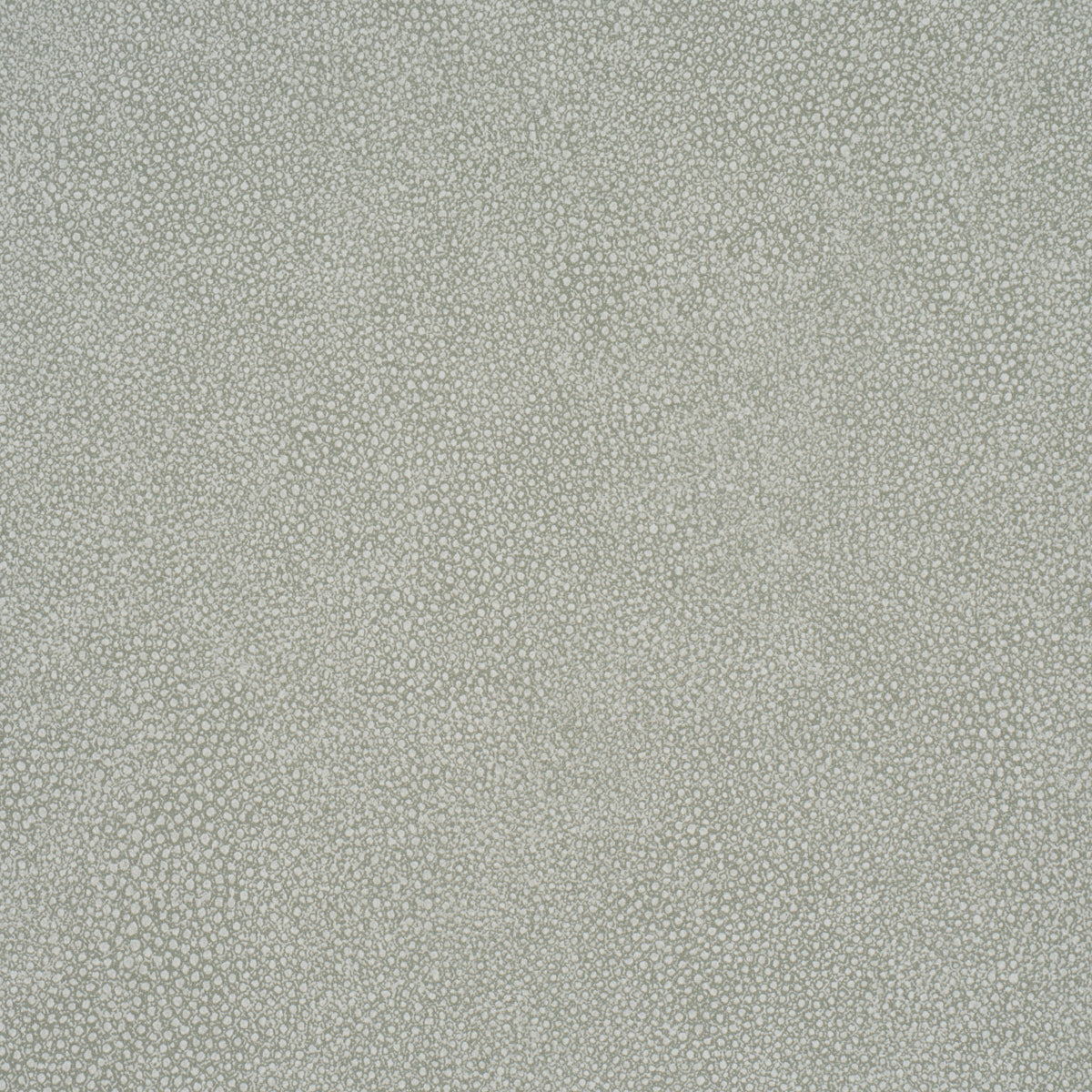 DUNBAR SHAGREEN VINYL | Haze
