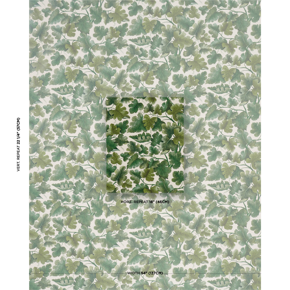 Edinburgh Vine | Moss