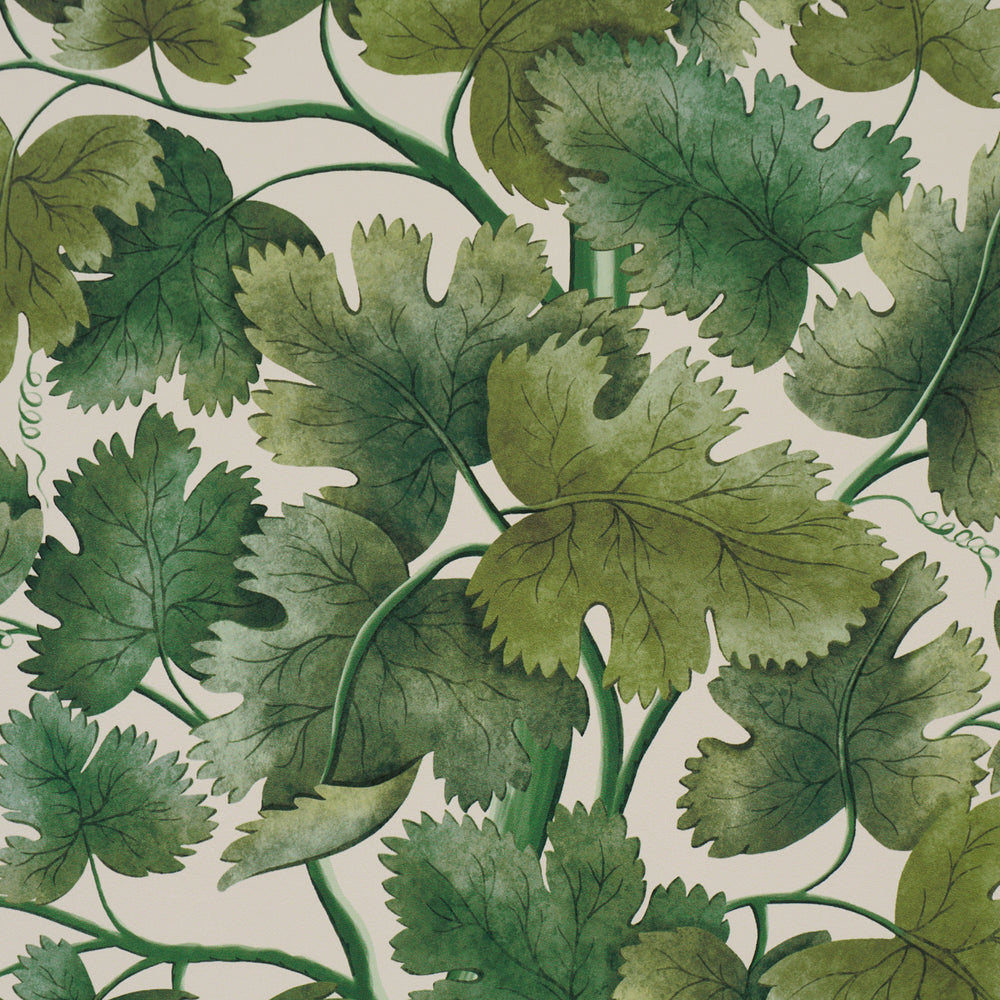 Edinburgh Vine | Moss
