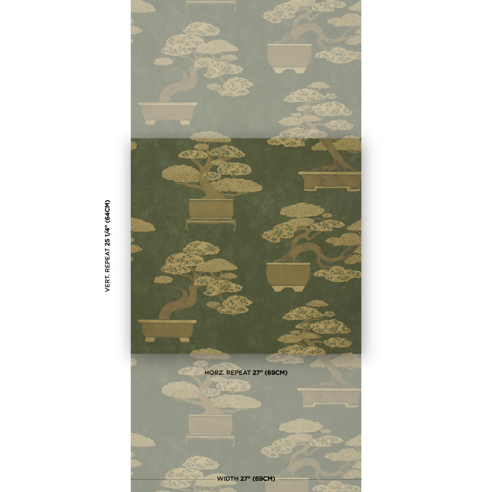 BONSAI TREE | Olive