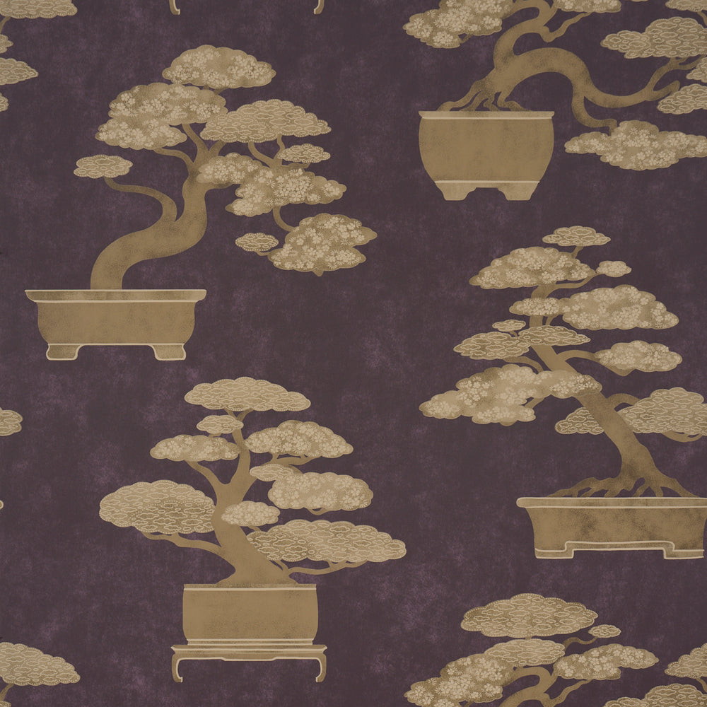 BONSAI TREE | Aubergine