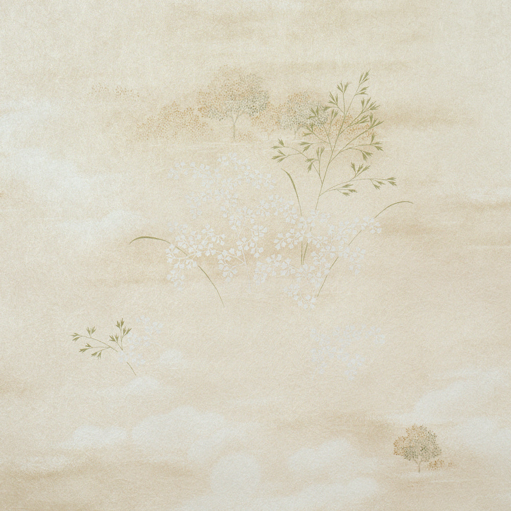 CALM SKIES | Sage