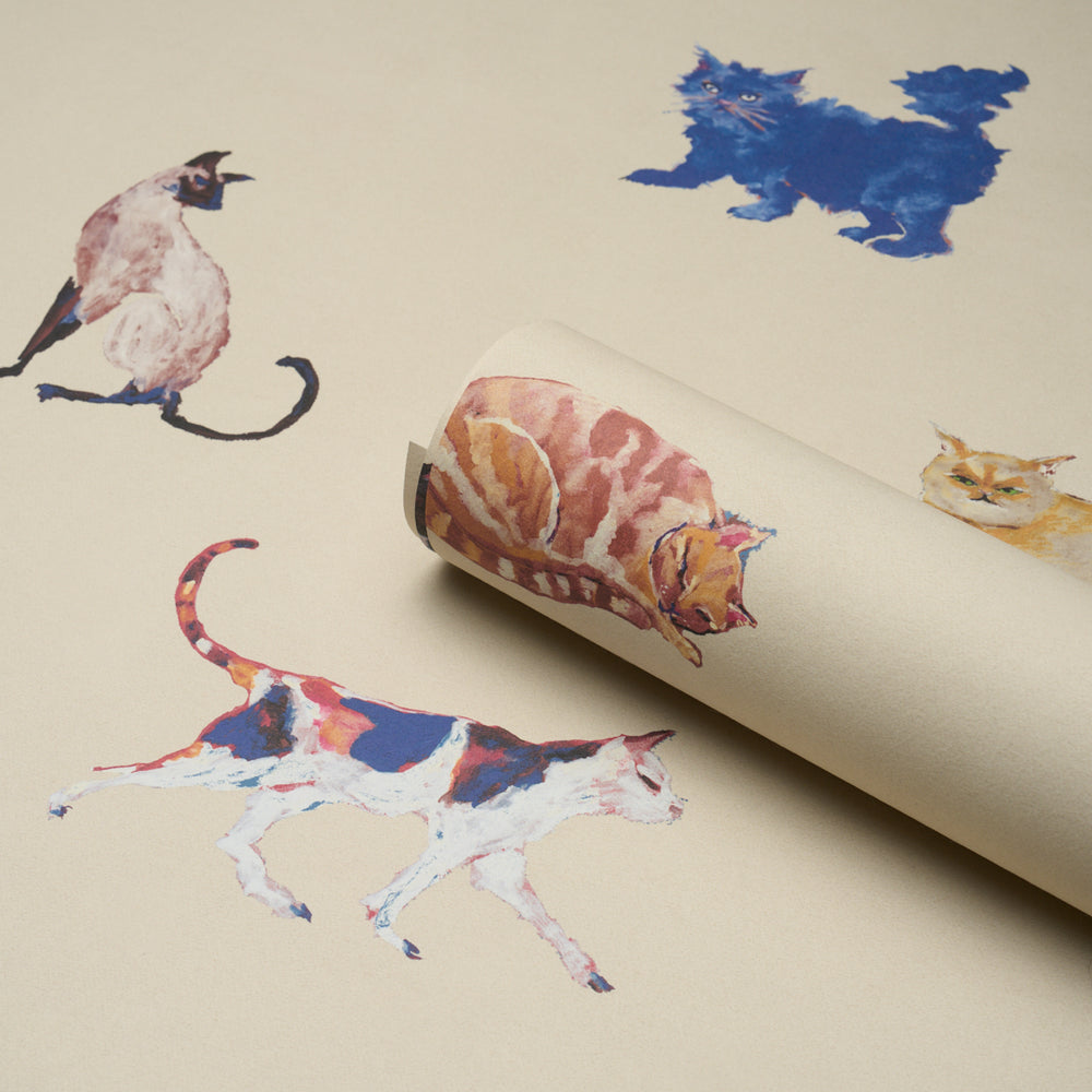 Cats | Cream