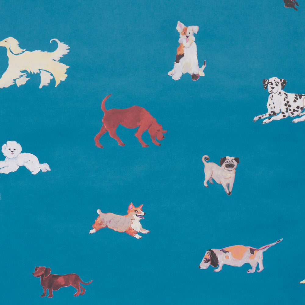 Dogs | Cerulean