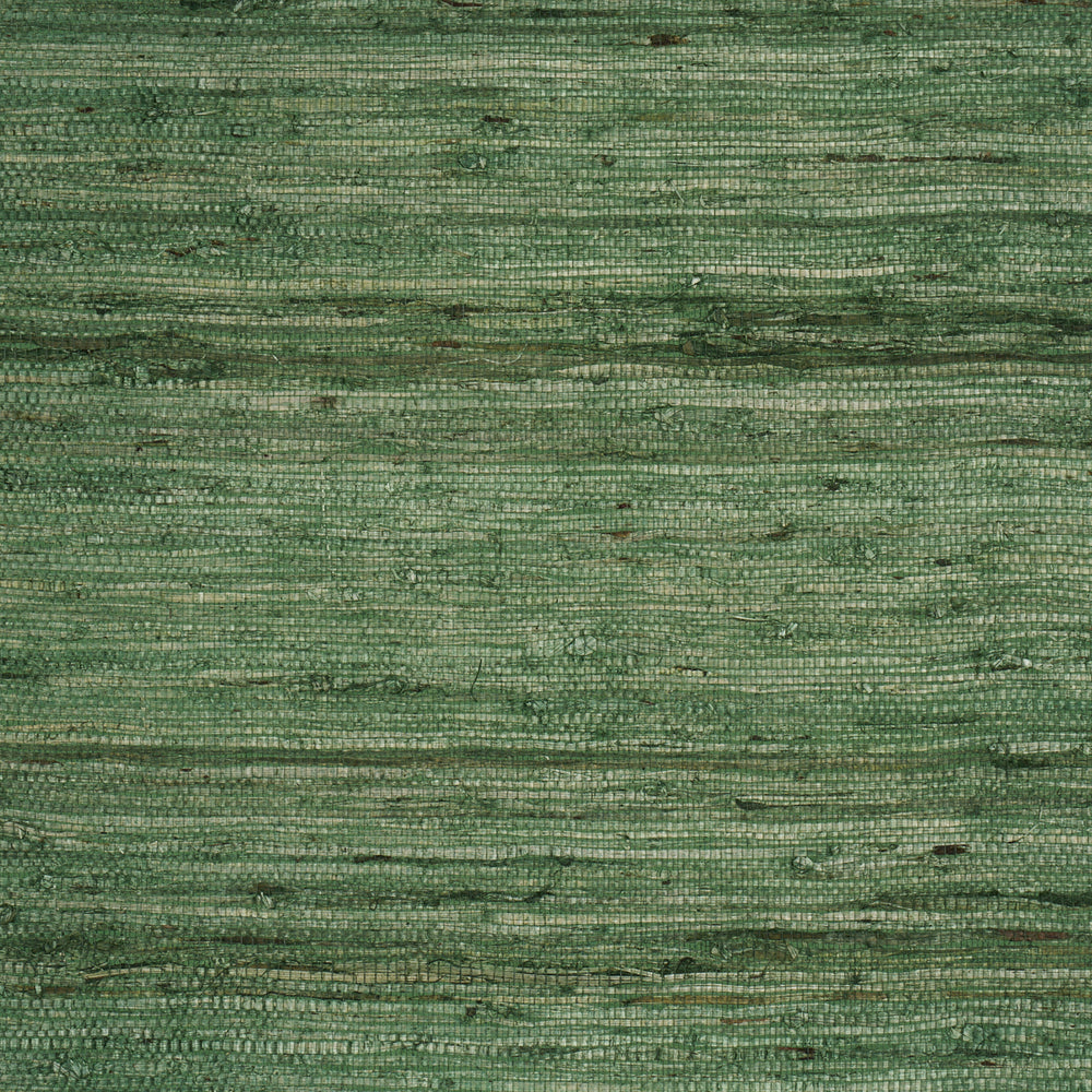 HAN ARROWROOT | Grass