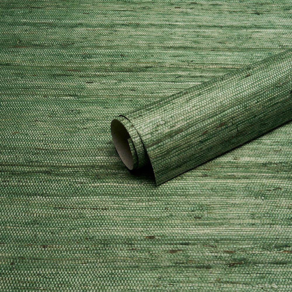 HAN ARROWROOT | Grass