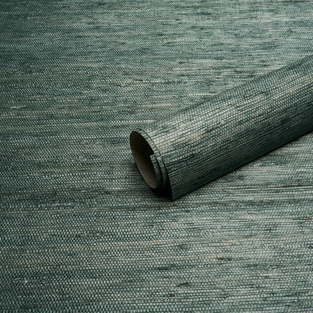 HAN ARROWROOT | Teal
