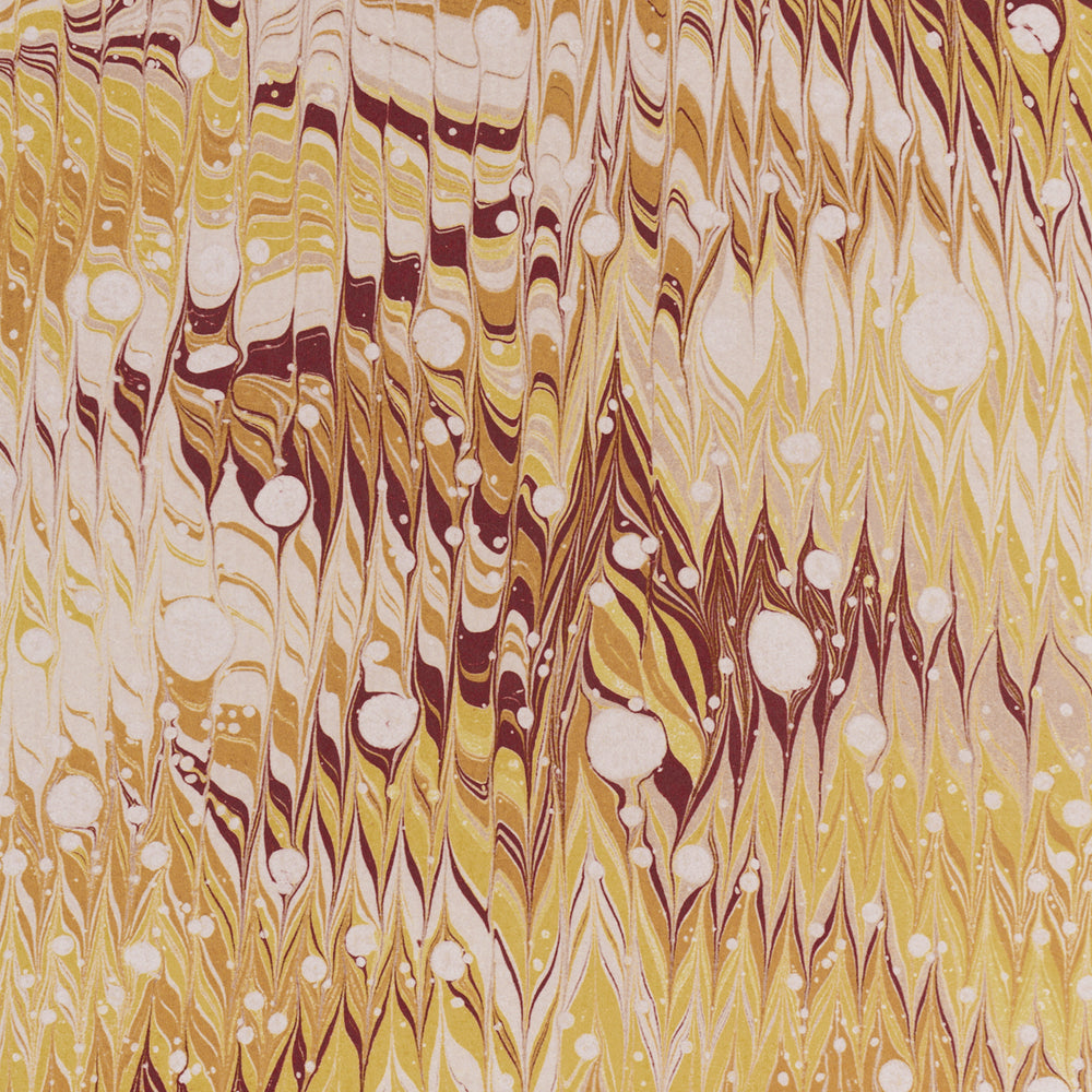 MESMERIC | Curry