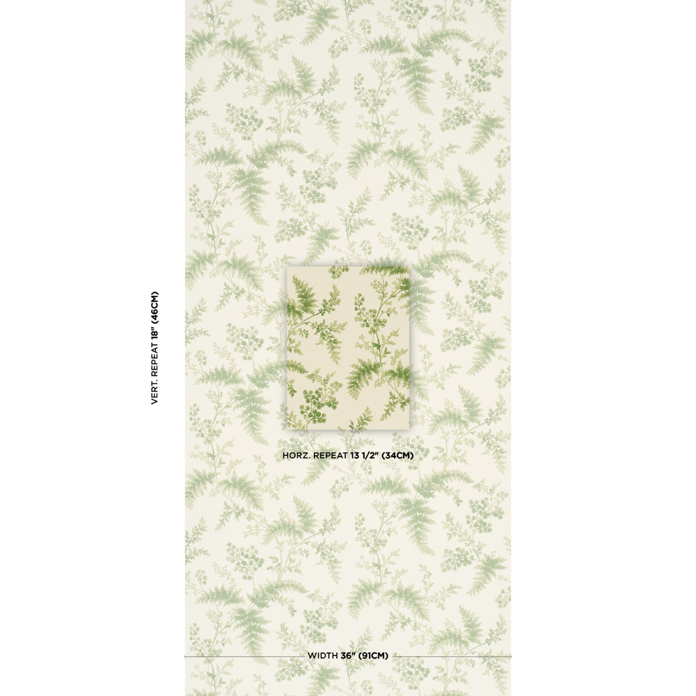 MAIDENHAIR | Moss